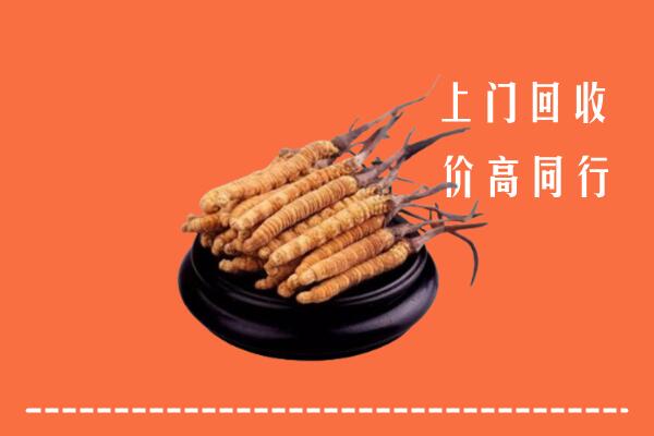 高价求购：铜川市印台回收散虫草