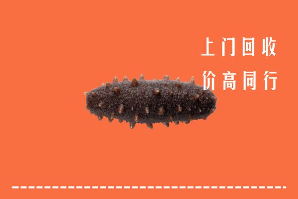 高价求购：铜川市印台回收海参