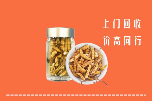 铜川市印台回收冬虫夏草