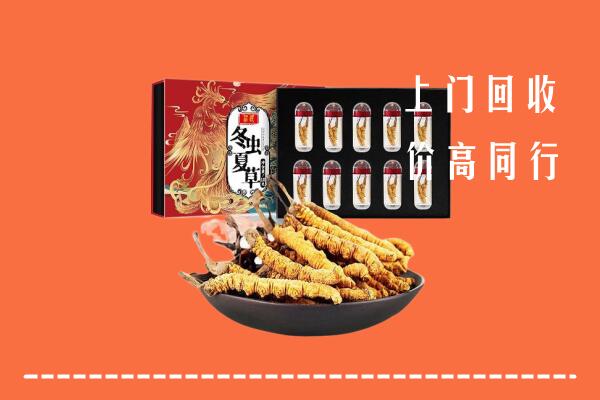 铜川市印台回收虫草